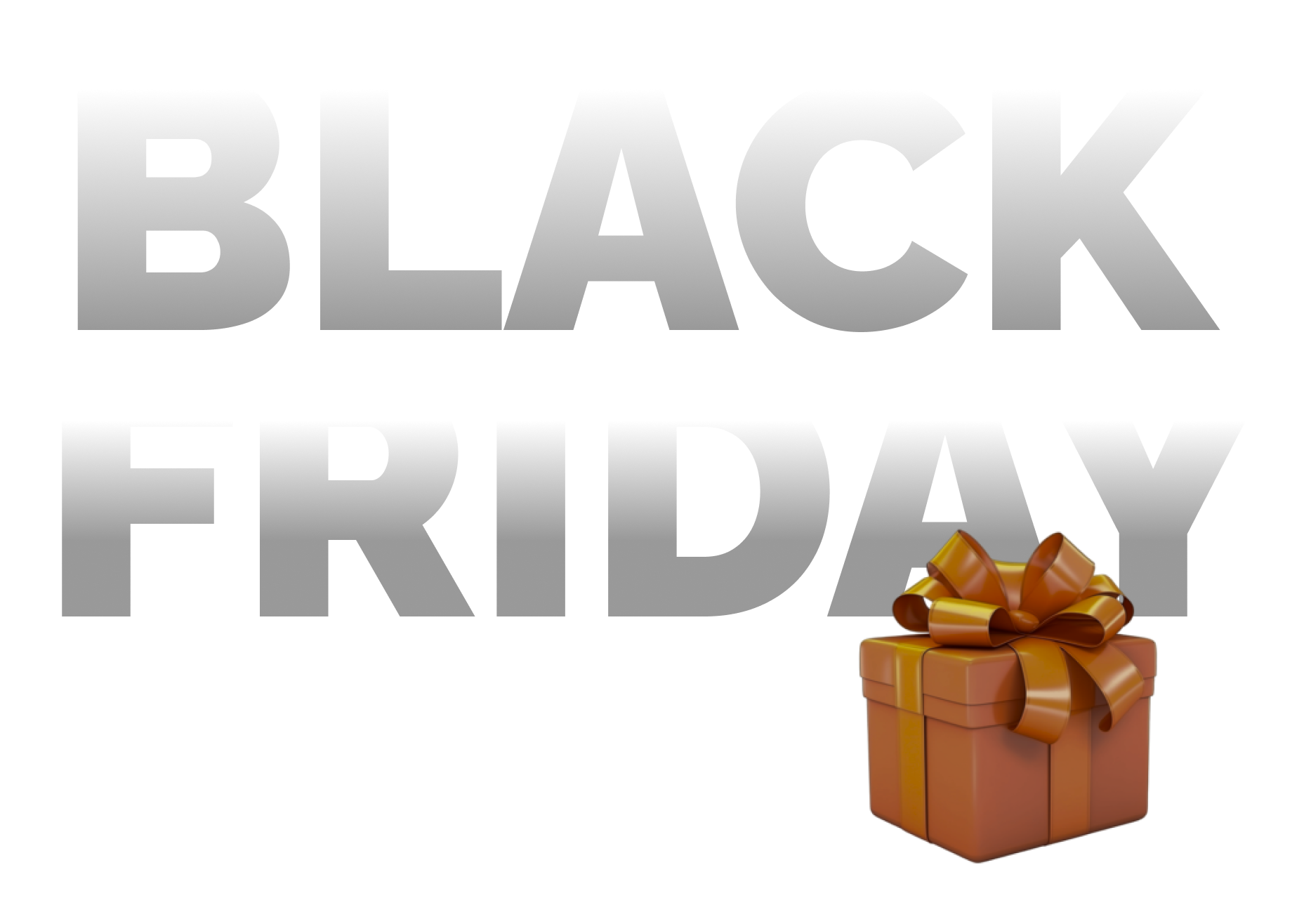 Black Friday Payfy